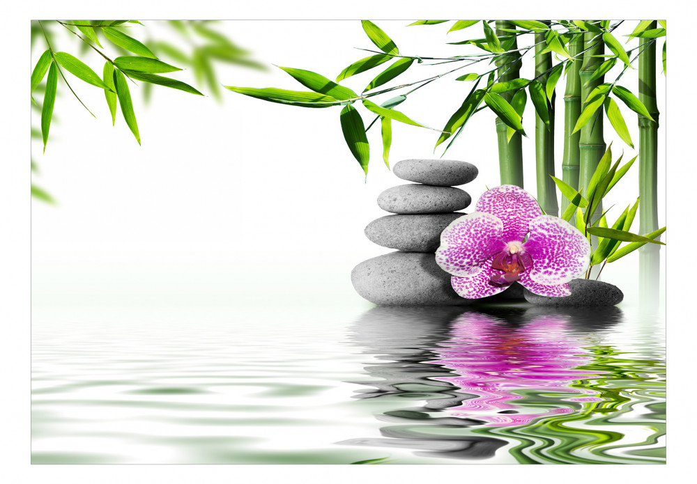 fototapeta zen