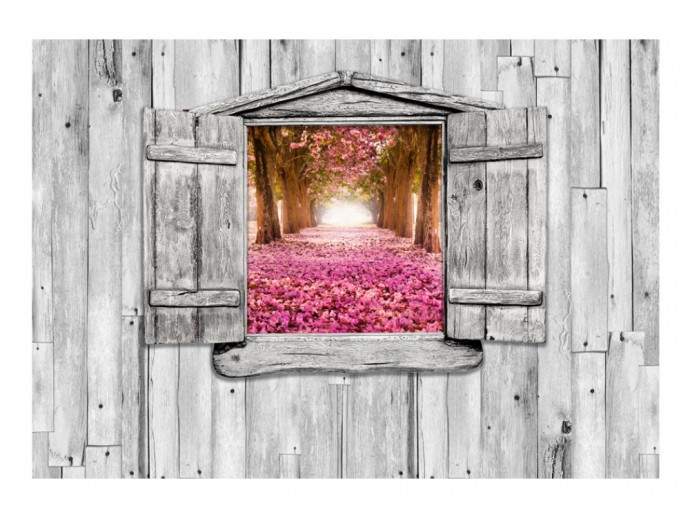 fototapeta powiększająca wnętrze okno ogród vintage shabby chic