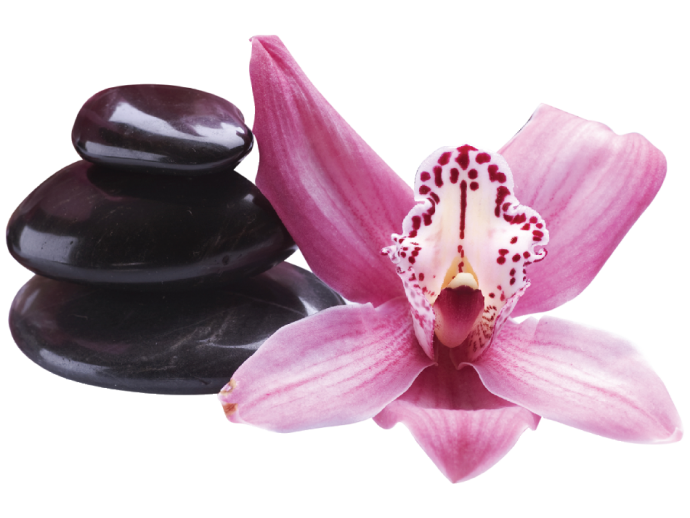 naklejka ścienna różowa orchidea kamienie