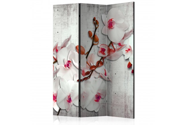 parawan orchidea storczyk beton