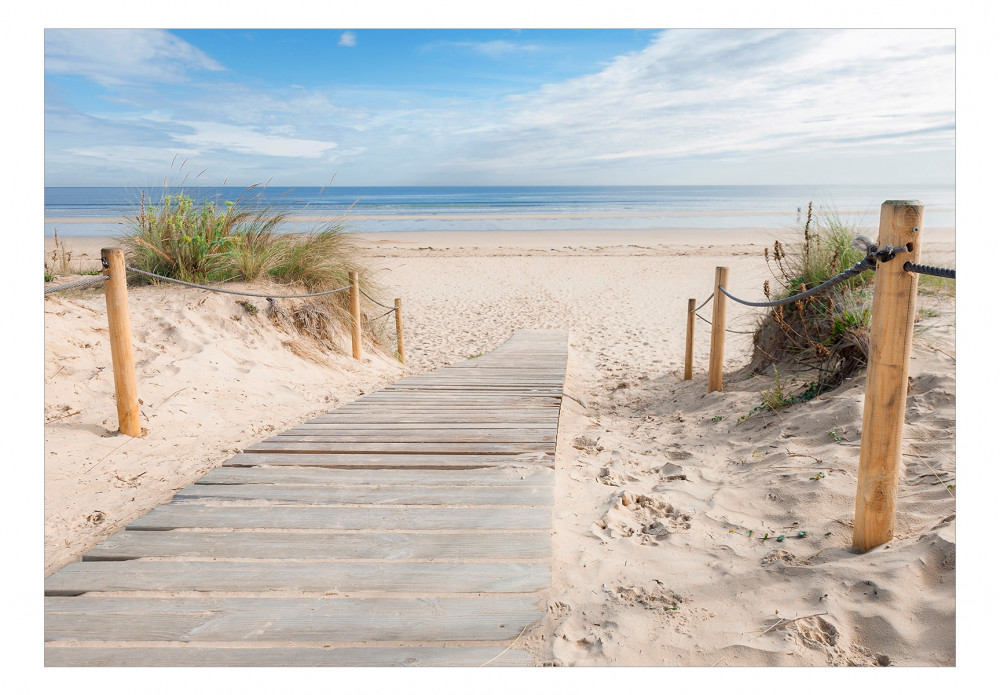 fototapeta plaża