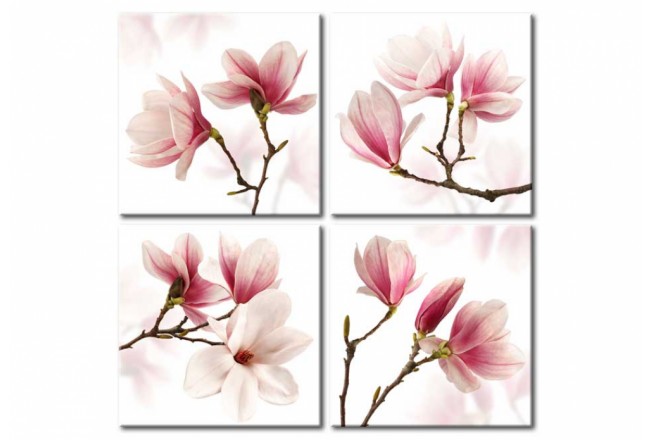 obraz kwiaty magnolie